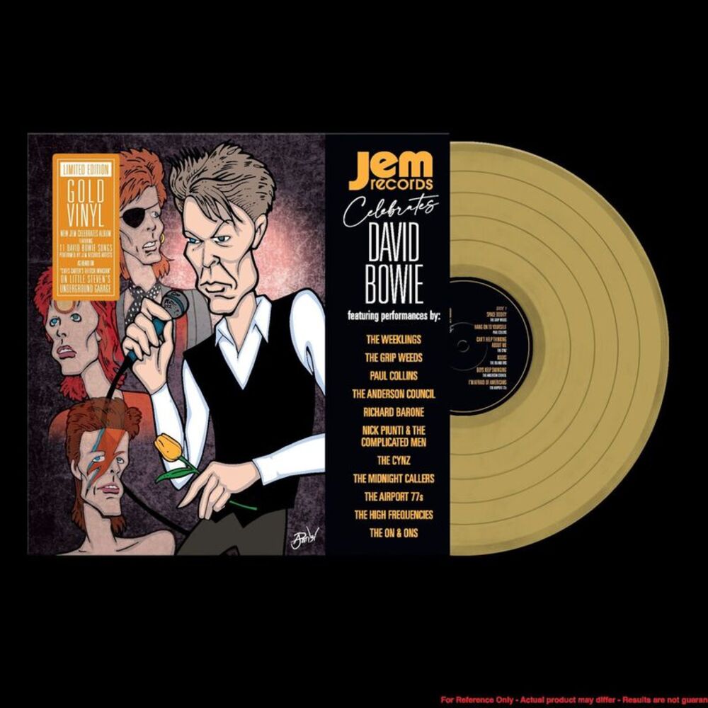 Various Artists - Jem Records Celebrates David Bowie (Various Artists)  LP